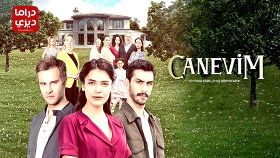 مسلسل قلبي الحلقة 17 – الأخيرة